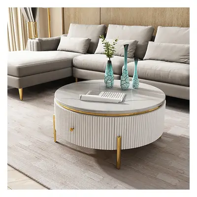 Yelly Modern Round Coffee Table with Storage Sintered Stone Accent Table Stainless Steel in Gold