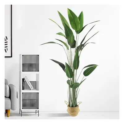 1800mmH Artificial Canna Tree 1 Piece Faux Indoor Plant