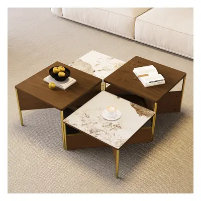 Square Modern Sintered Stone Coffee Table Walnut Veneer Coffee Table in Gold Frame