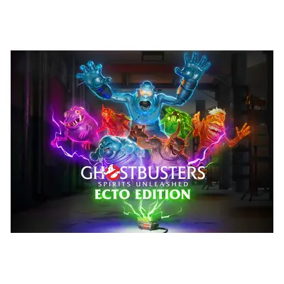 Ghostbusters: Spirits Unleashed Ecto Edition PC Steam Account