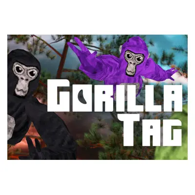 Gorilla Tag PC Steam Account