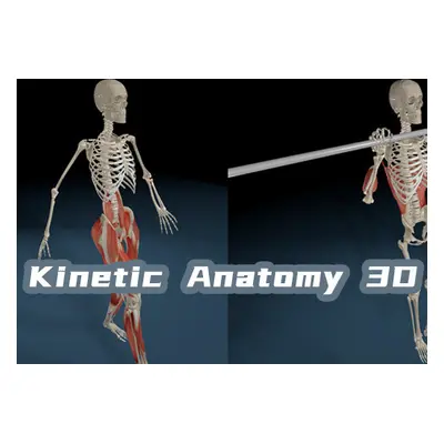 Kinetic Anatomy 3D PC Steam CD Key