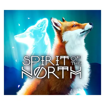 Spirit of the North PC Steam Account