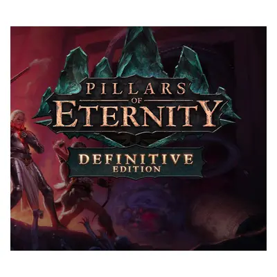 Pillars of Eternity Definitive Edition PC Steam Account