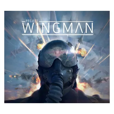 Project Wingman Steam Account