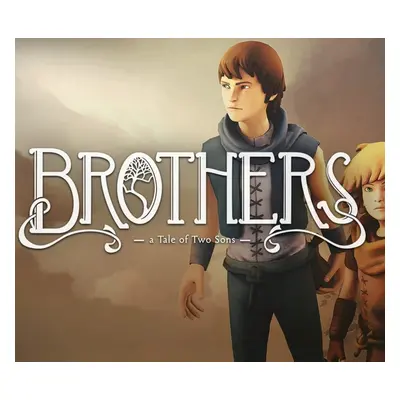 Brothers - A Tale of Two Sons PC Steam Account