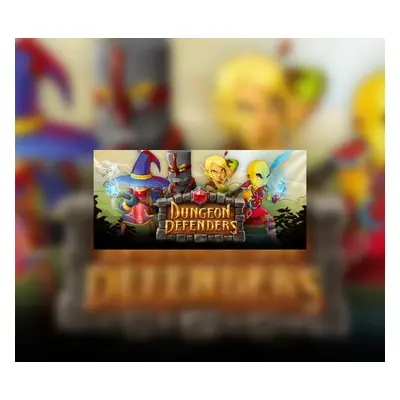 Dungeon Defenders PC Steam Account