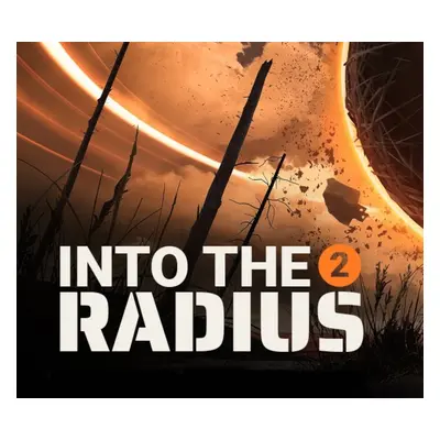 Into the Radius 2 PC Steam Account