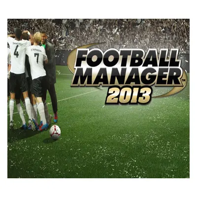 Football Manager 2013 EN/RU Languages Only PC Steam Gift