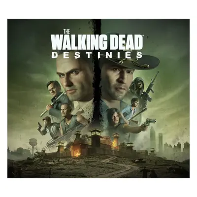 The Walking Dead: Destinies PC Steam Account