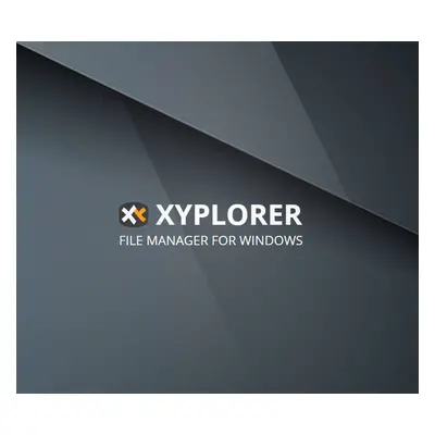 Xyplorer - Mini Site Professional CD Key (Lifetime / 2 Users)