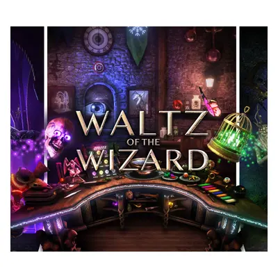 Waltz of the Wizard PC Steam Account