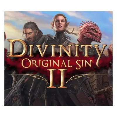 Divinity: Original Sin 2 - Divine Edition Steam Altergift