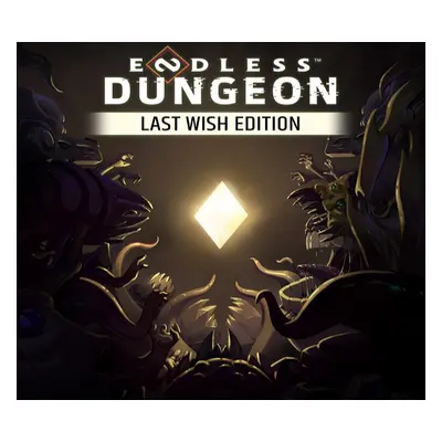 ENDLESS Dungeon Last Wish Edition Steam CD Key