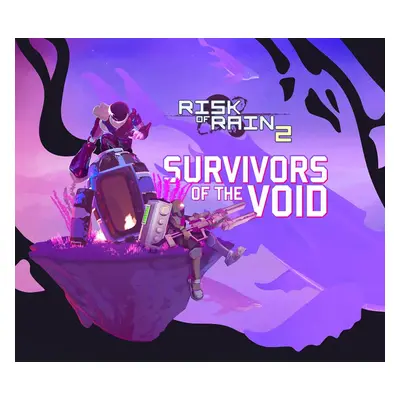 Risk of Rain 2 + Survivors of the Void DLC Steam Account