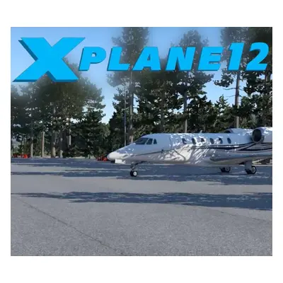 X-Plane 12 Steam Altergift