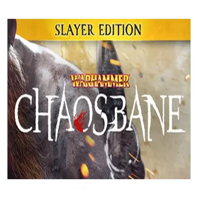 Warhammer: Chaosbane Slayer Edition EU XBOX One CD Key