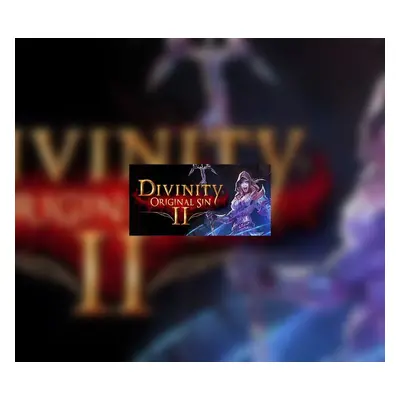 Divinity: Original Sin 2 - Divine Ascension DLC GOG CD Key