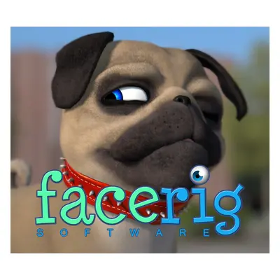 FaceRig - Julien the Pug Avatar DLC Steam CD Key