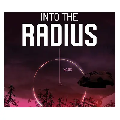 Into the Radius VR Steam Account