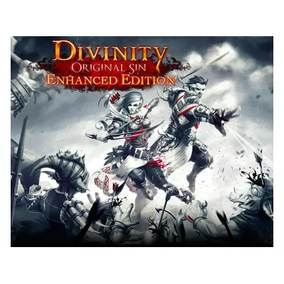 Divinity: Original Sin Enhanced Edition EU Steam Gift