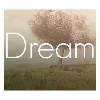 Dream Steam Gift