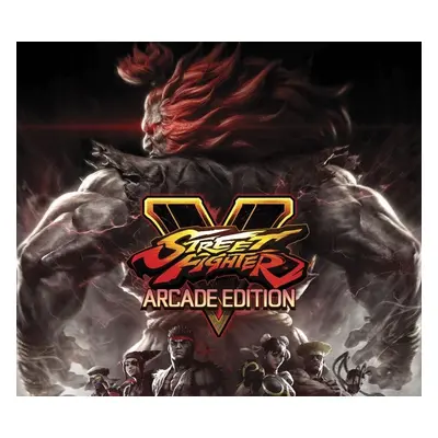 Street Fighter V: Arcade Edition Character Pass 1 + 2 Bundle DLC EU PS4 CD Key