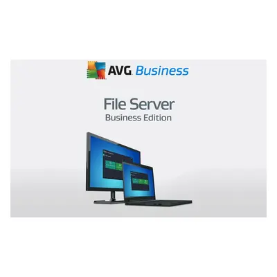 AVG File Server Business Edition Key (2 Years / 1 Device)