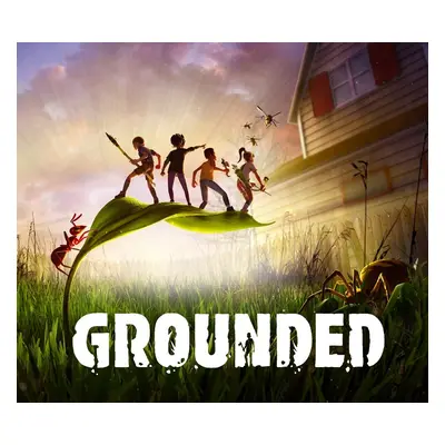 Grounded XBOX One / Xbox Series X|S / Windows 10 Account