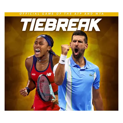 TIEBREAK: Official game of the ATP and WTA PC Steam CD Key