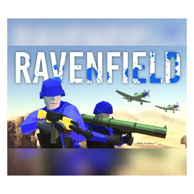 Ravenfield Steam Account