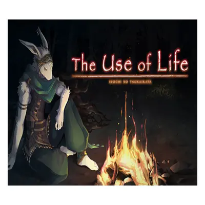 The Use of Life Steam CD Key