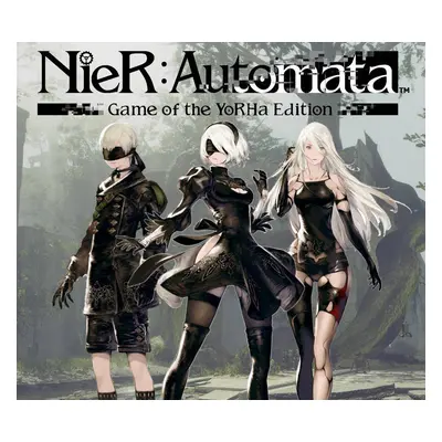 NieR: Automata Game of the YoRHa Edition Steam Account