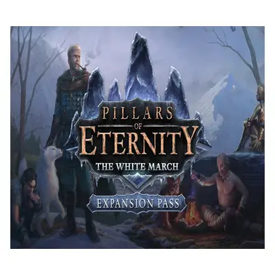 Pillars of Eternity: The White March Expansion Pass RU VPN Activated Steam CD Key