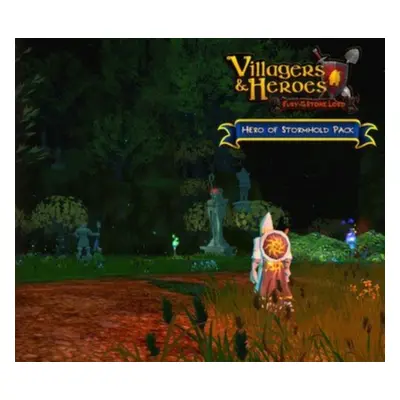 Villagers and Heroes - Hero of Stormhold Pack DLC Steam Gift