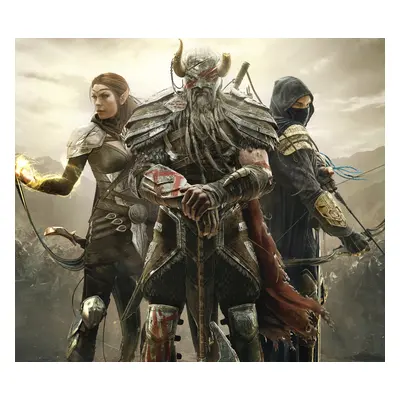 The Elder Scrolls Online Standard Edition PC Steam CD Key