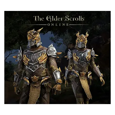 The Elder Scrolls Online - Dragon Slayer Bundle #1 DLC XBOX One / Series X|S CD Key