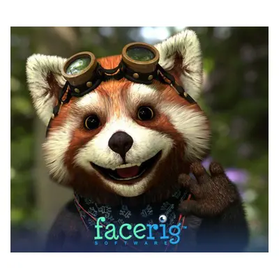 FaceRig + 5 DLCs Steam CD Key