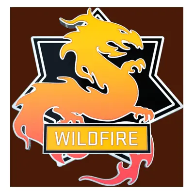 CS:GO - Series 3 - Wildfire Collectible Pin