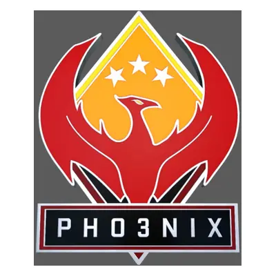 CS:GO - Series 2 - Phoenix Collectible Pin