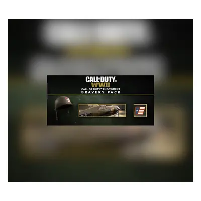 Call of Duty: WWII - Call of Duty Endowment Bravery Pack DLC Steam CD Key