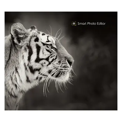 Smart Photo Editor Download CD Key