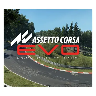 Assetto Corsa EVO PC Steam CD Key