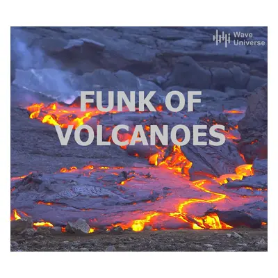 FONK OF VOLCANOES (Wave Universe Release) CD Key