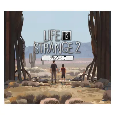 Life is Strange 2 - Episode 5 EU Steam CD Key