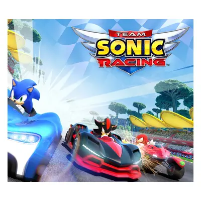 Team Sonic Racing Steam Altergift