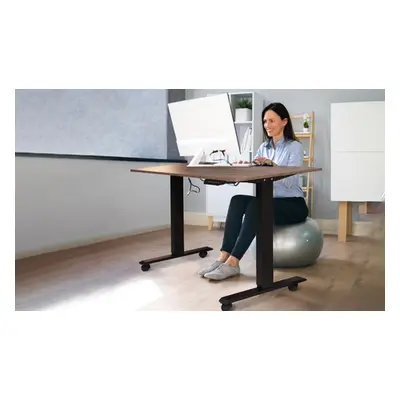 Electric Stand-Up Height Adjustable Home Office Desk, White