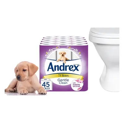 45 Rolls of Andrex Gentle Clean Toilet Tissues