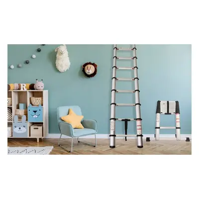 Extendable Ladder with a Soft Close Feature,3.8m