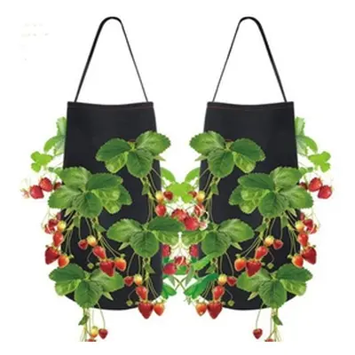 Hanging Strawberry Planting Grow Bag, Two